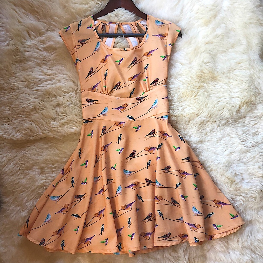 🦅SOLD——Bird 🦅 Lovers Dress, never worn